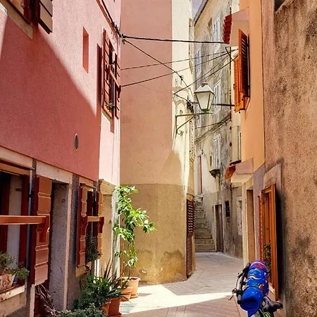 Miholascica 1 On Island By Guide 别墅 *